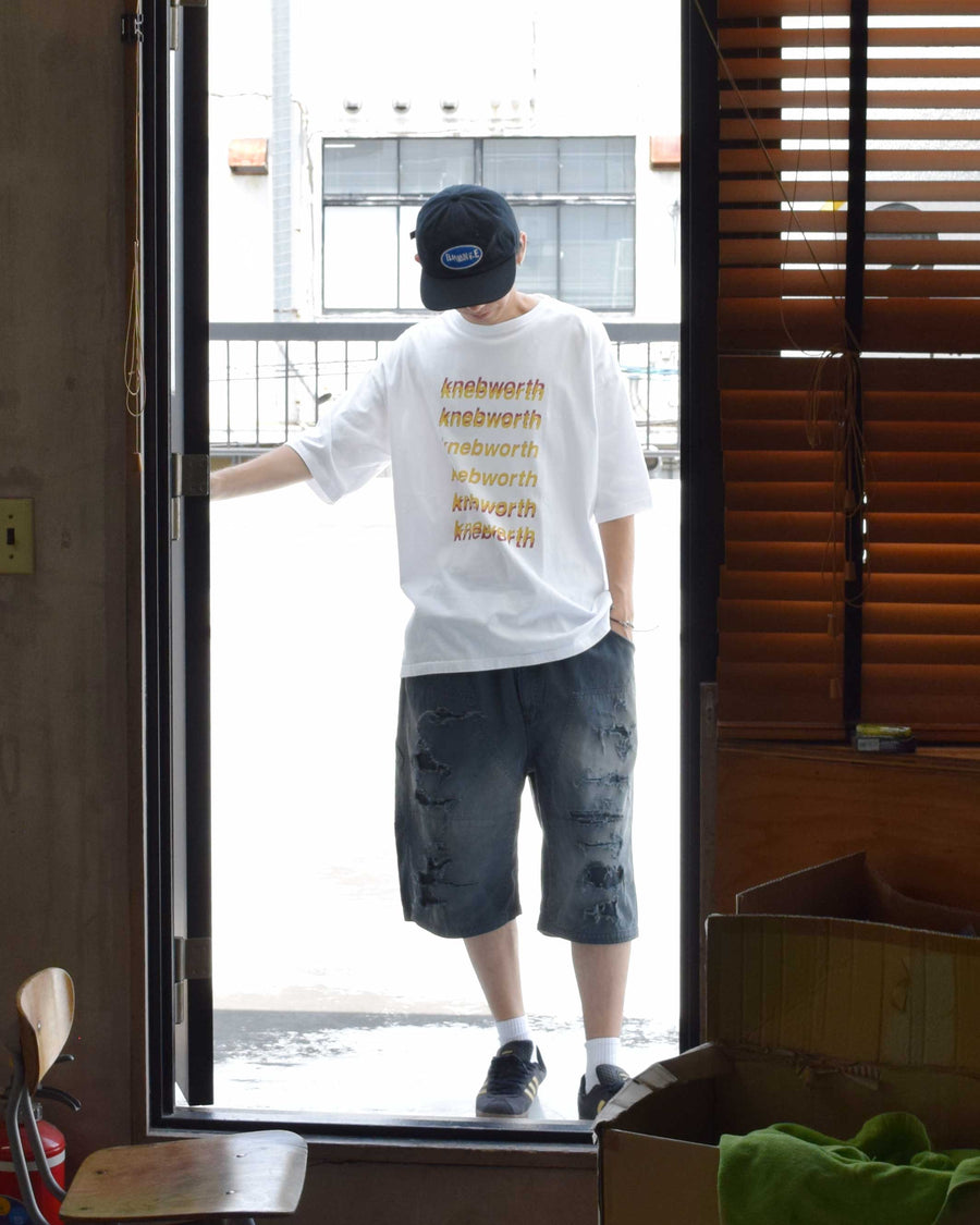 AN367 GRADATION PRINTED S/S T-S WHITE