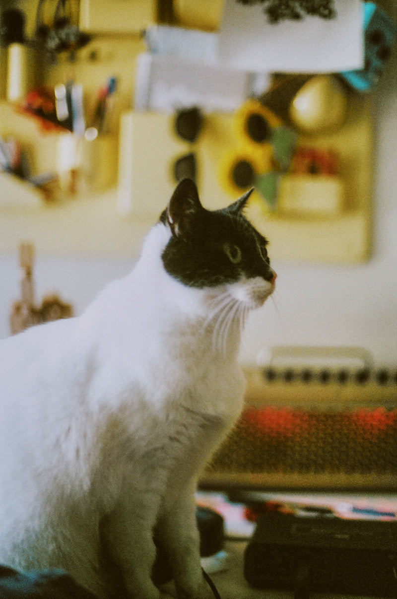 CONTEXT / PORTRAITS NOTE vol.1