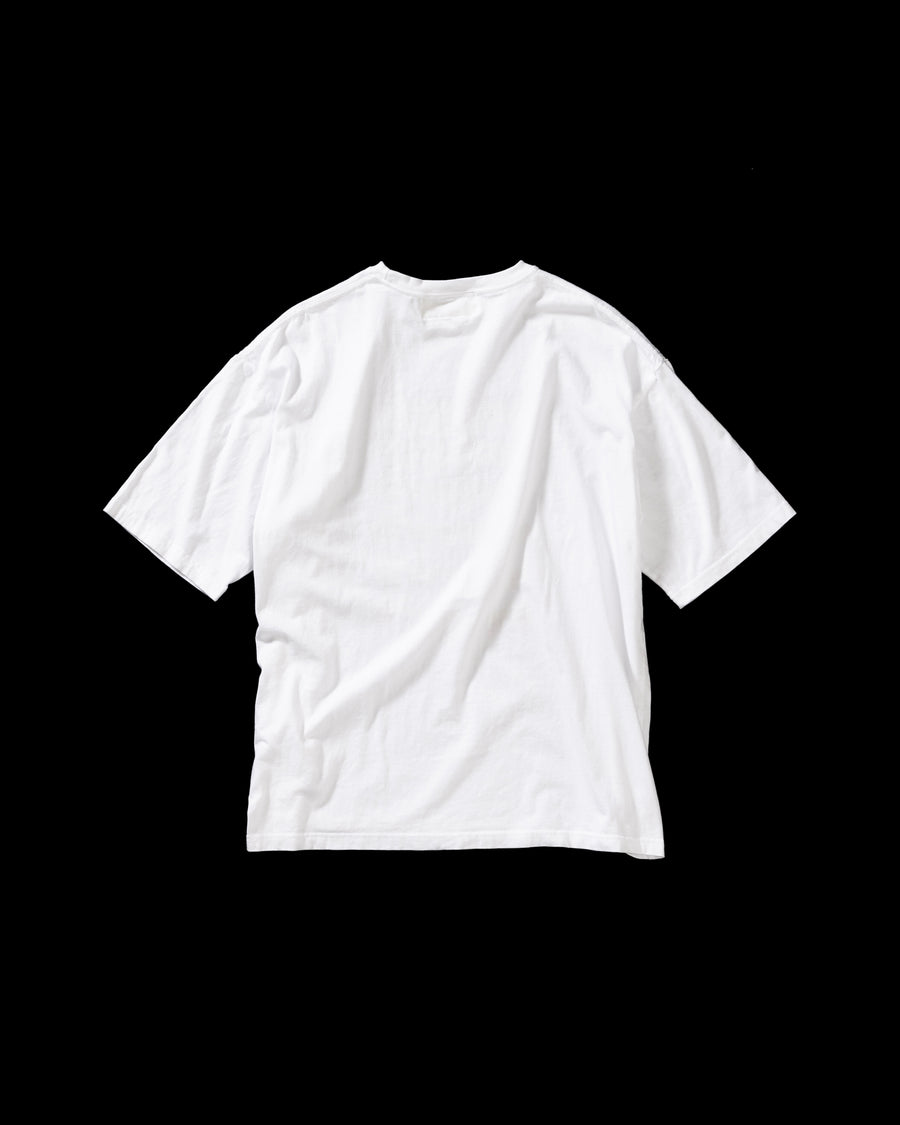 AN367 GRADATION PRINTED S/S T-S WHITE