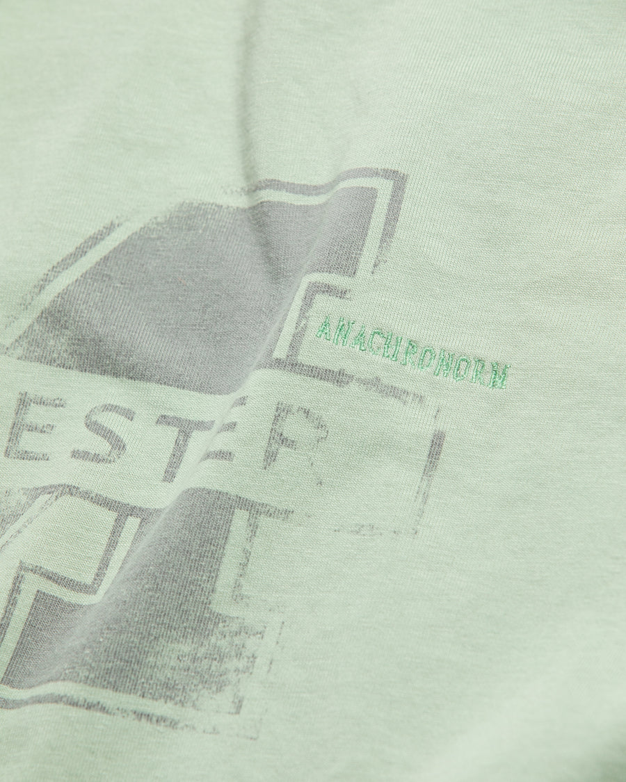 AN368 MANCHESTER PRINTED S/S T-S SAGE