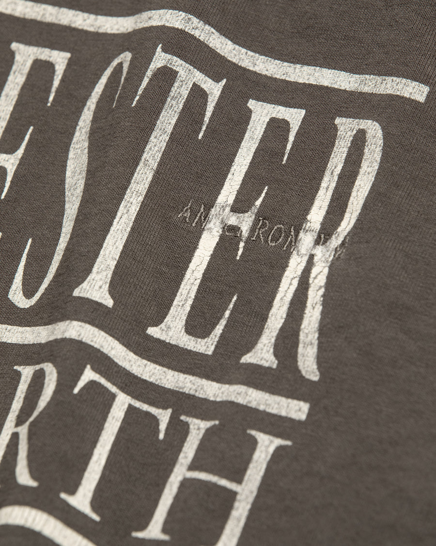 "マンチェスター" "ネブワース"カルチャーの発信源の地をスーベニア風にプリントデザインしモカ色に顔料染めしたロンT