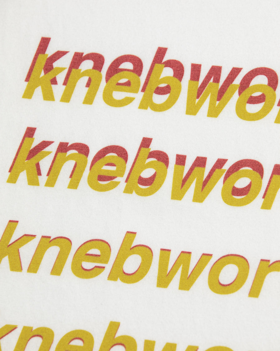 AN367 GRADATION PRINTED S/S T-S WHITE