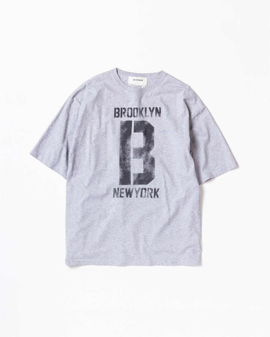 AN365 BROOKLYN PRINTED S/S T-S ASH GRAY
