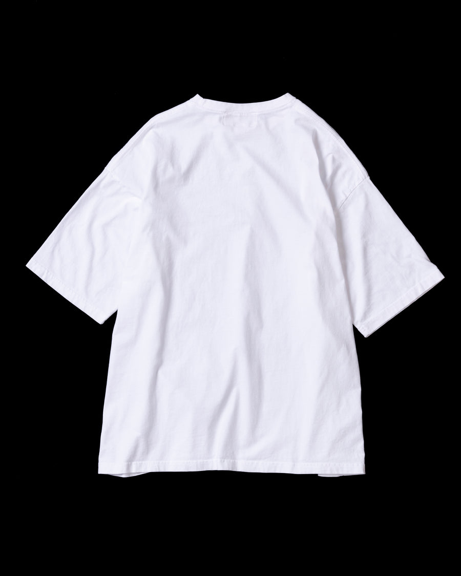 AN360 BALANCE COLLEGE PRINTED S/S T-S GREEN PRINT