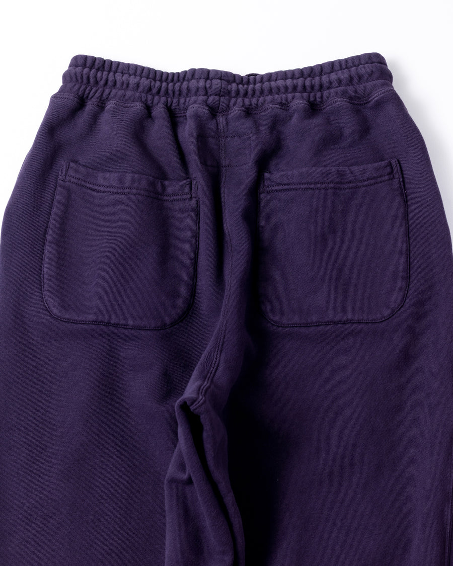 TUCK WIDE SWEAT PANTS BLUE PURPLE