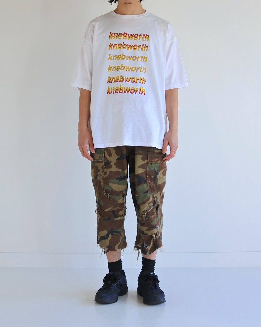 AN367 GRADATION PRINTED S/S T-S WHITE